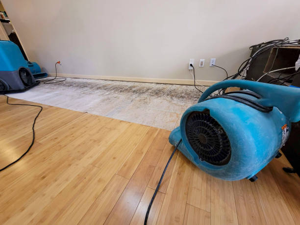 Professional Burst Pipe Water Damage technician working in Chickasaw, AL